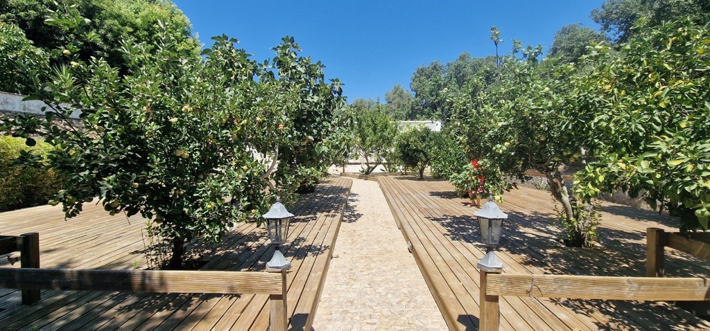 Harmony Grove